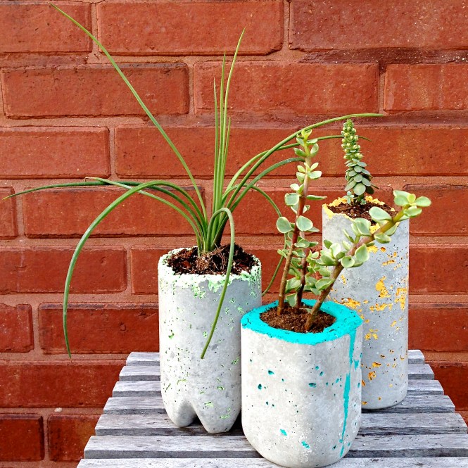 Schwepps, Kefir, & smartwater bottles : LucidDesign