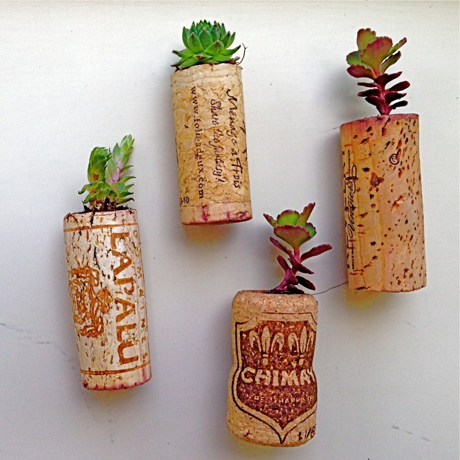 Cork Magnets : LucidDesign