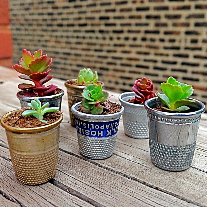 Thimbles : LucidDesign