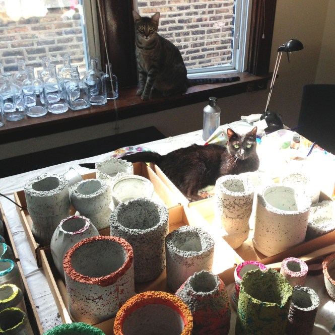 No workshop is complete without a cat or two : LucidDesign