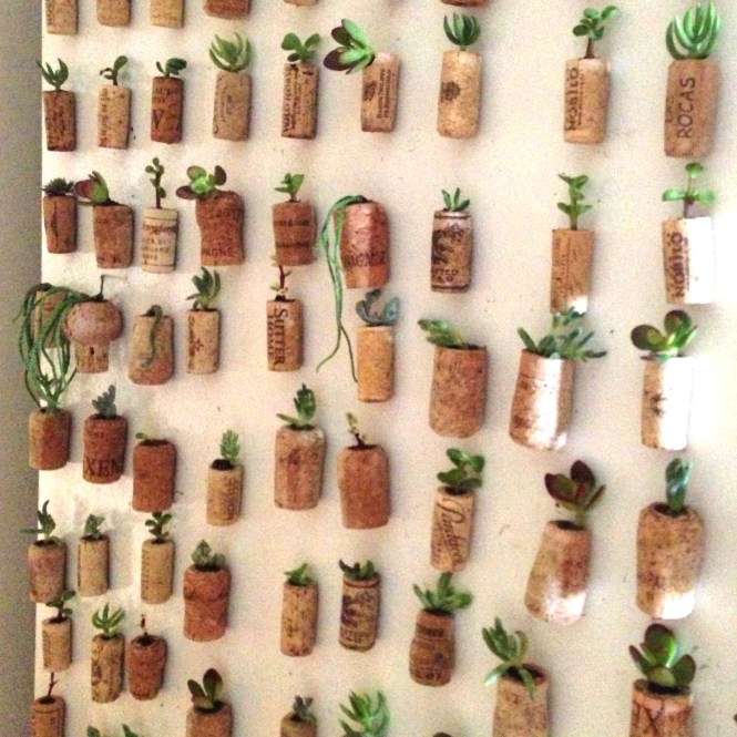 Cork Magnets : LucidDesign