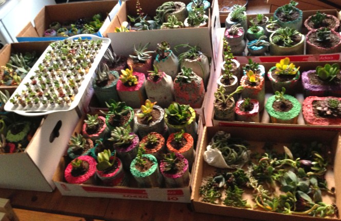 Neatly organized and ready to go : LucidDesign