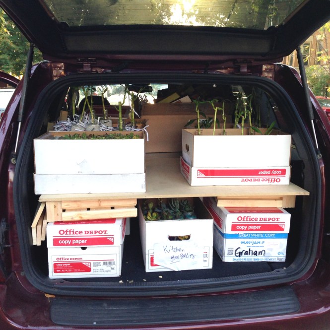 Carefully packed and ready : LucidDesign